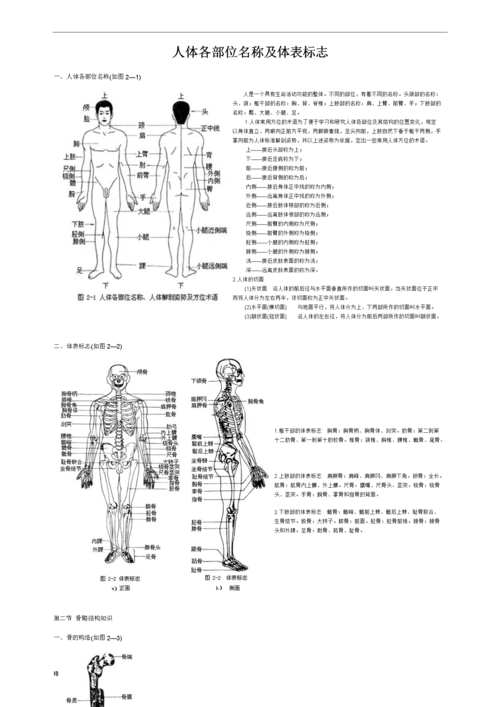 人体简图及各部分名称 伤感说说吧