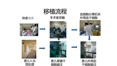 骨髓移植流程图片大全,抽取骨髓的图片- 伤感说说吧
