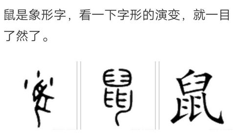 鼠的象形字 12生肖象形文字 伤感说说吧