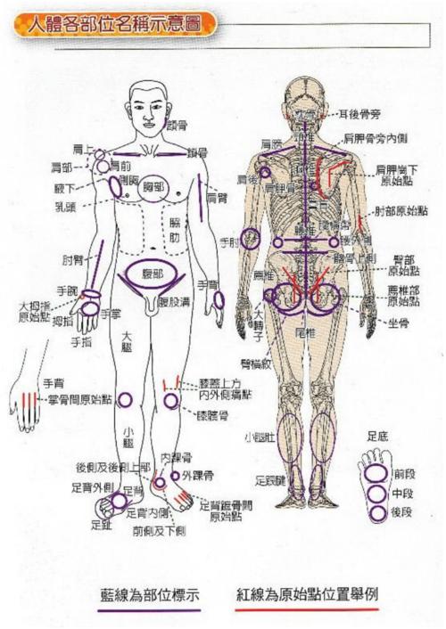 人体各部位名称身体 人的各个身体部位名称 伤感说说吧