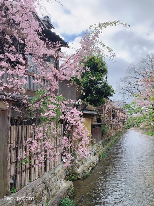 京都风景 京都风景规划研究院 伤感说说吧