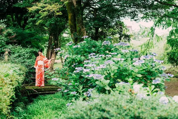 紫阳花の散る时剧情 紫阳花が散る时剧情 3 伤感说说吧