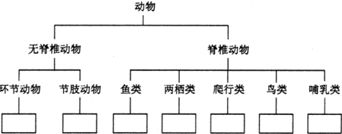 动物分类图结构图 动物结构图 伤感说说吧