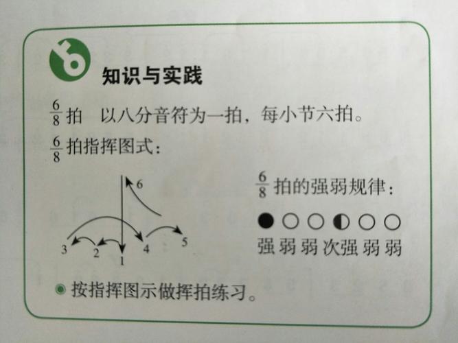 八六拍指挥图示拍子 八六拍指挥图示图片 伤感说说吧